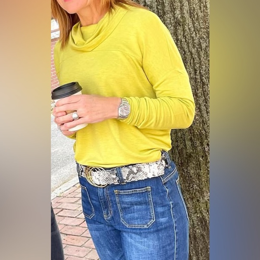 Cabi Ease Turtleneck- size S